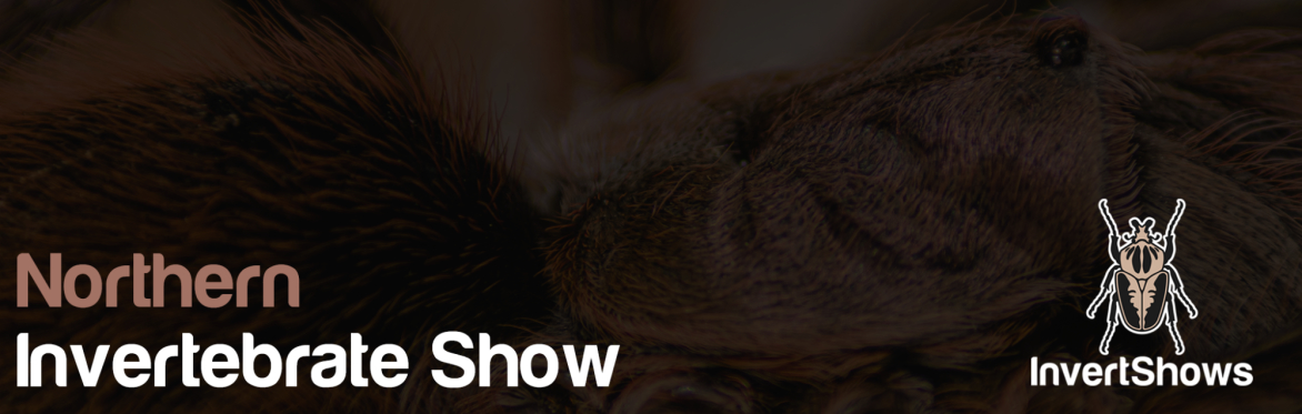 Northern Invertebrate Show