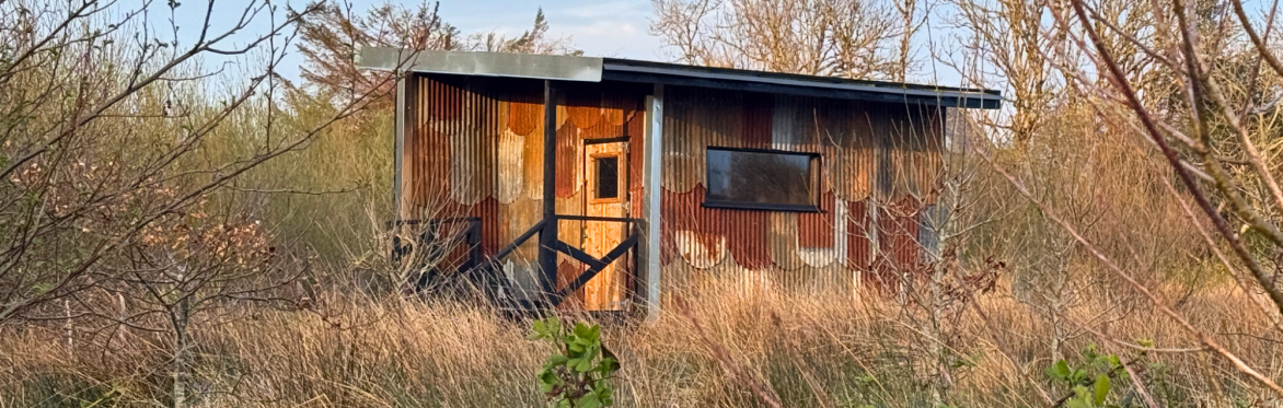 The Bog Sauna