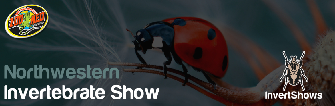 Northwestern Invertebrate Show