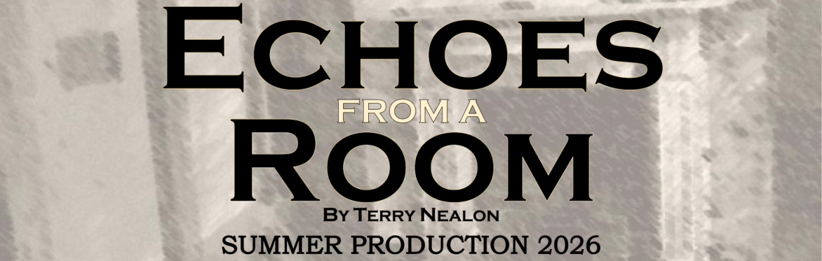 Echoes from a Room