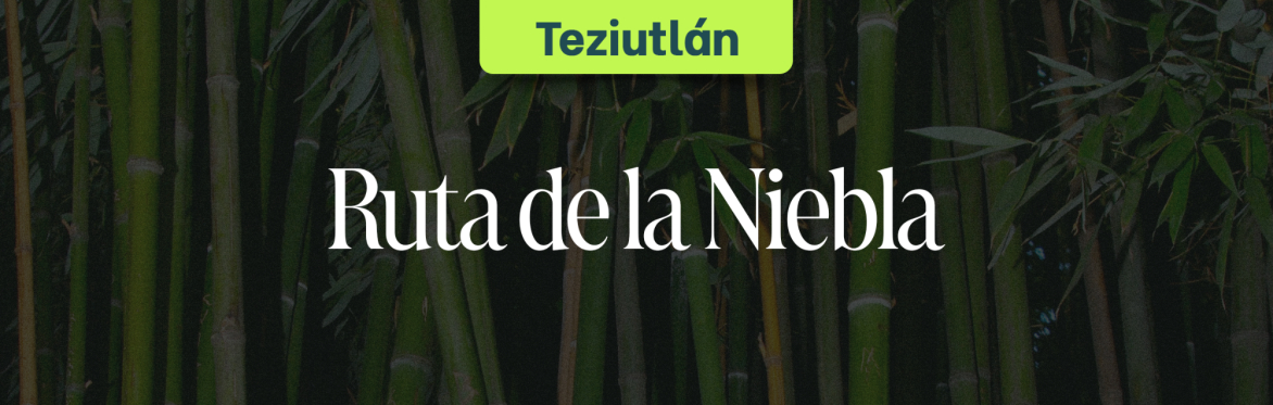 Ruta de la Niebla: Descubre la Magia de Teziutlán
