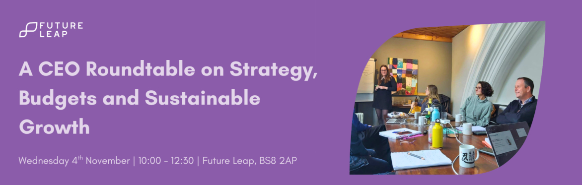 A CEO Roundtable on Strategy, Budgets and Sustainable Growth
