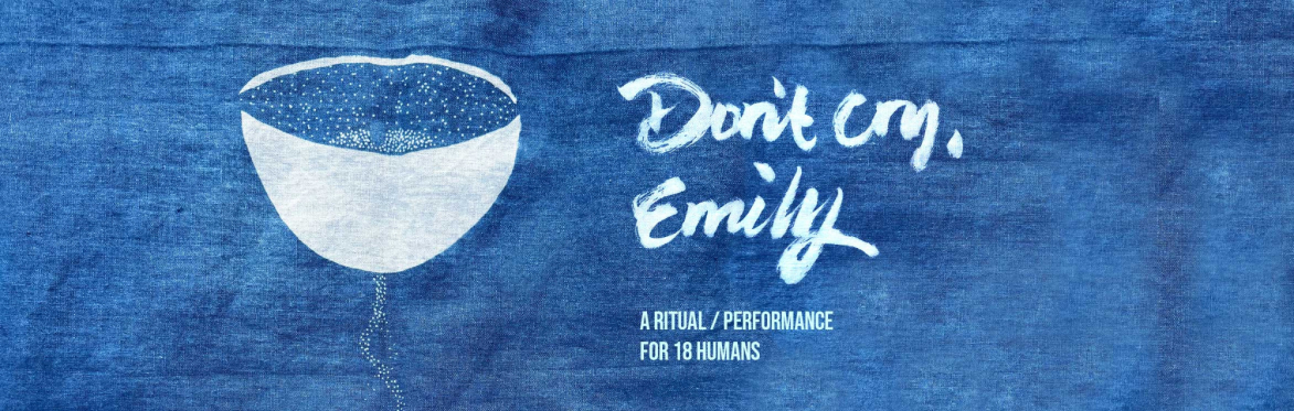 Traditional katazome rice resist print of a bowl on aizome (indigo) with the words Don't Cry Emily A ritual performance for 18 humans.