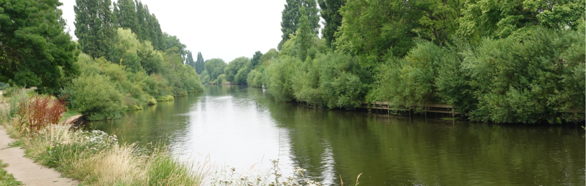 Tree-lined river landscape showing calm water, riverside vegetation and habitat, highlighting nature and biodiversity in York.