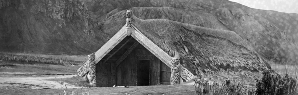 Hinemihi buried after the Tarawera eruption