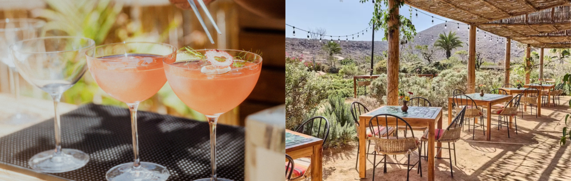 Todos Santos & Pescadero Culinary Experiences