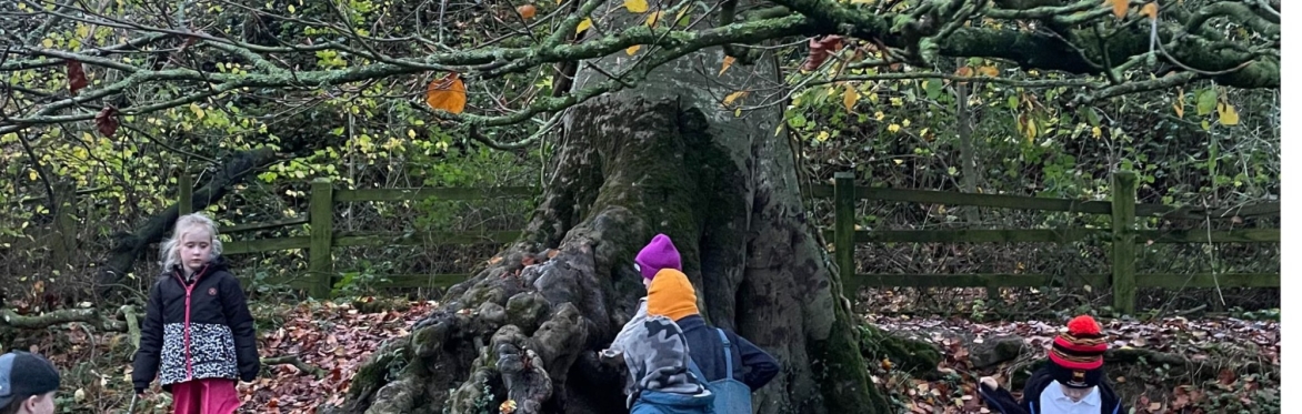 Forest School: Skills, Nature & Adventure - Burtown House C-PGFS-BH-26