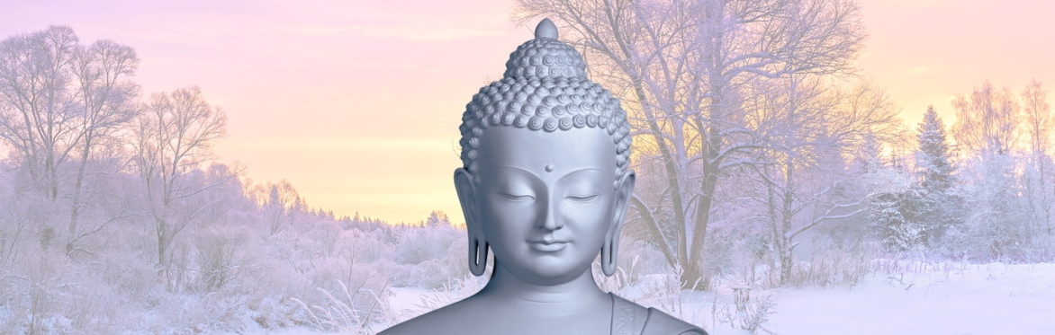 January Retreats - WEEKDAY SESSIONS members booking