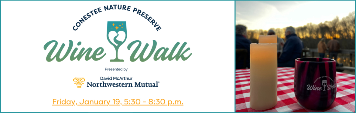Winter Wine Walk