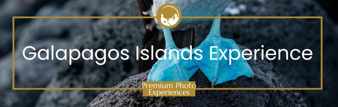 Galapagos Islands Premium Photo Experience
