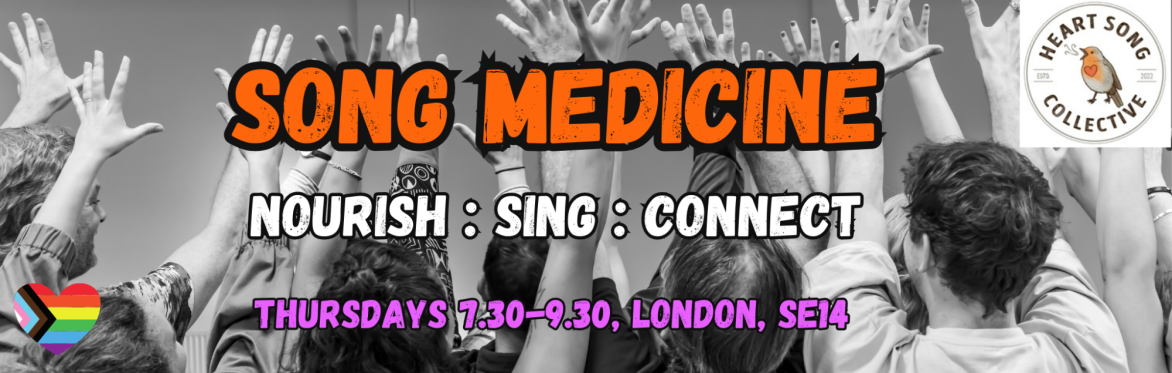 Song Medicine 2024