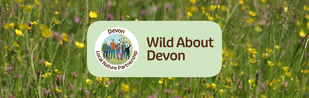 Text reads Wild About Devon
