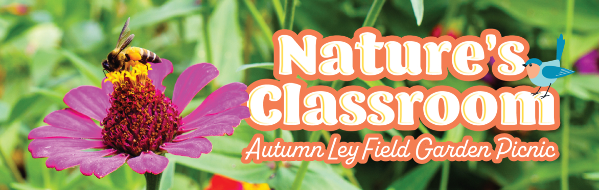Nature's Classroom: Autumn Ley Field Garden Picnic