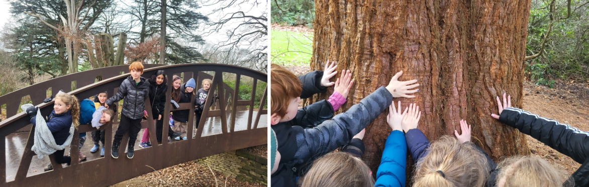 HAF Summer Holiday Club (ages 5-14) Yorkshire Sculpture Park