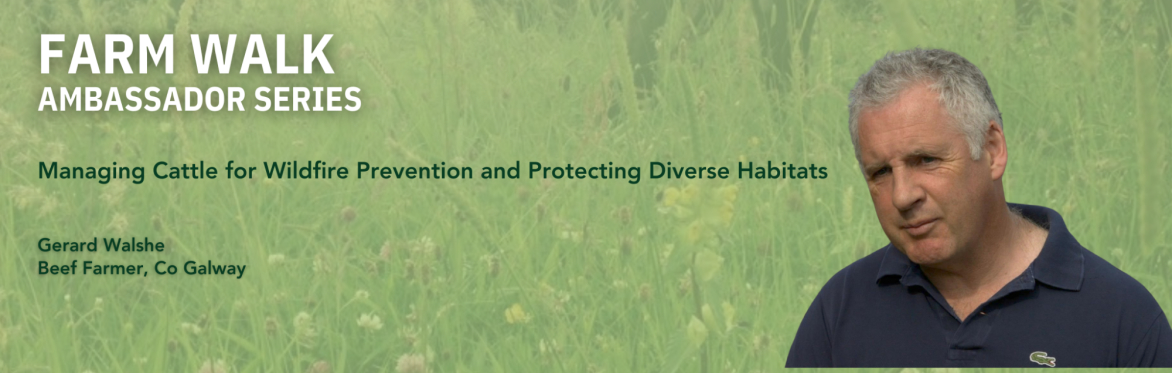 Farming For Nature walk with Gerard Walshe - June (Co. Galway)