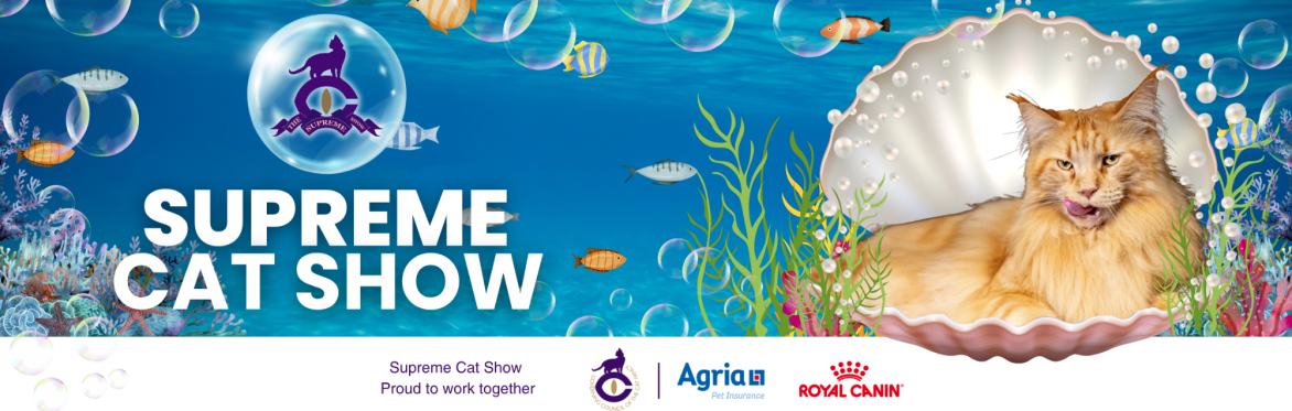 The GCCF's Annual Supreme Cat Show