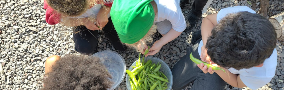 After-school nature club