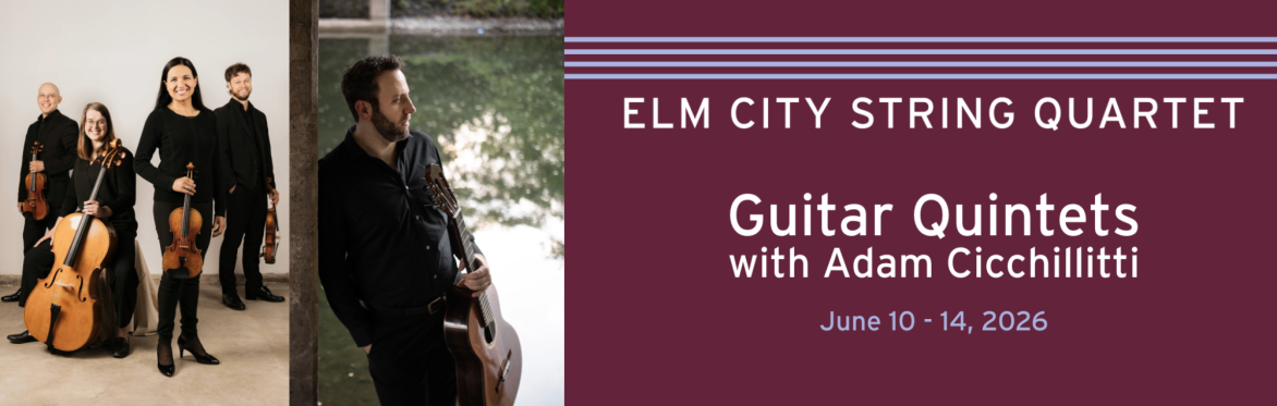 The ECSQ Plays Guitar Quintets With Adam Cicchillitti (Fredericton)
