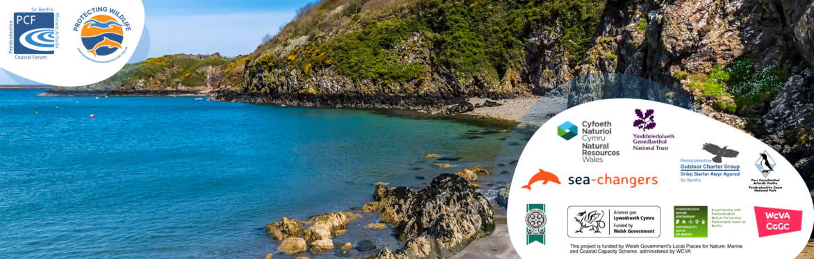 Pembrokeshire Marine Code event - Geology and Landscapes | Digwyddiad Cod Morol Sir Benfro - Daeareg a Thirweddau