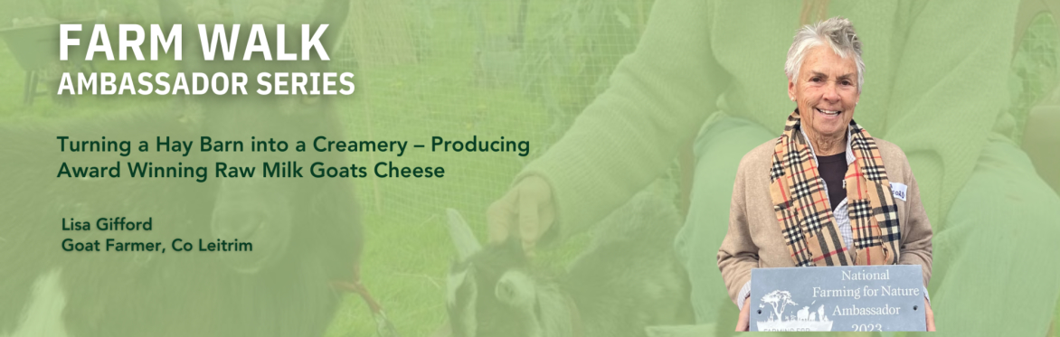 Farming For Nature walk with Lisa Gifford - June (Co. Leitrim)