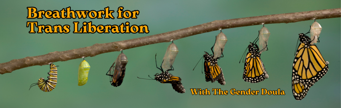 Breathwork for Trans Liberation
