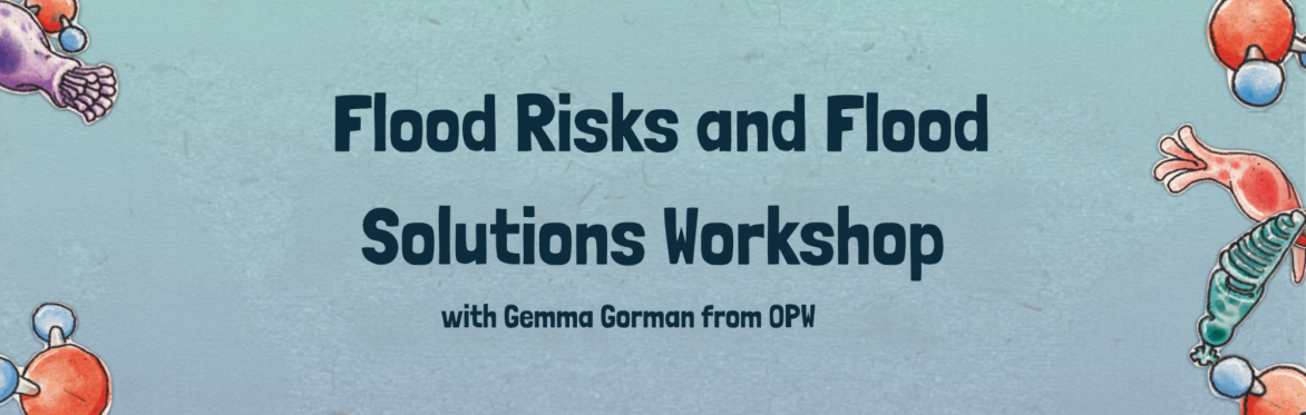 Flood Risks and Flood Solutions Workshop
