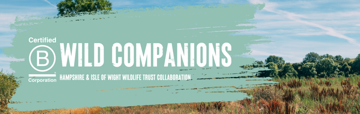Wild Companions | A Hampshire & Isle of Wight Wildlife Trust and B Local Collaboration