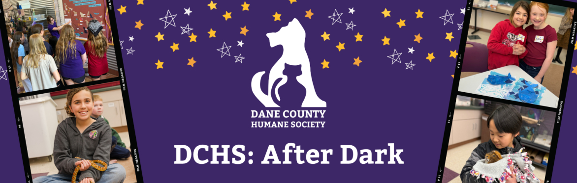 DCHS: After Dark
