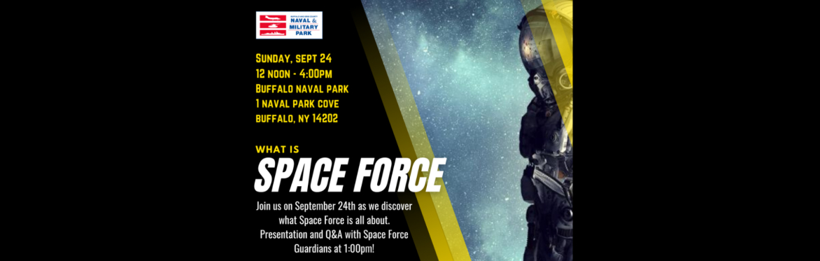 Space Force Day