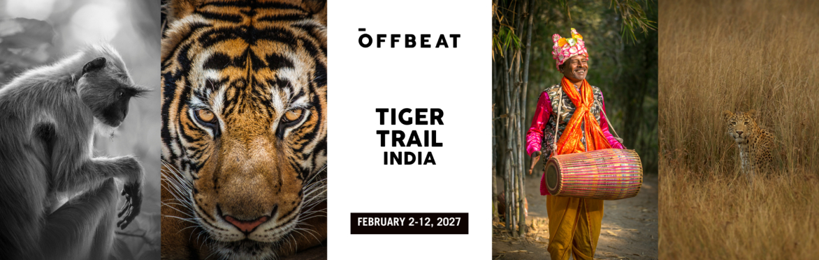 India Tiger Trail 2027
