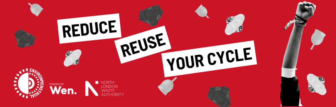 Reduce, Reuse, Your cycle: free online workshops for teachers in north London 