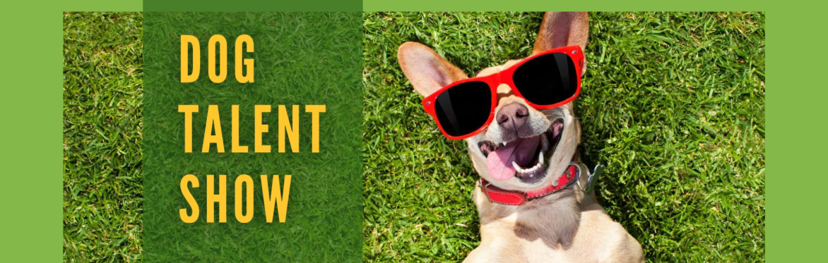 Dog Talent Show