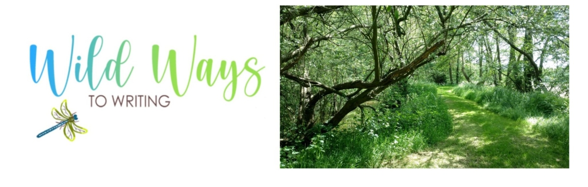 A co-creative writing journey into deeper Nature connection