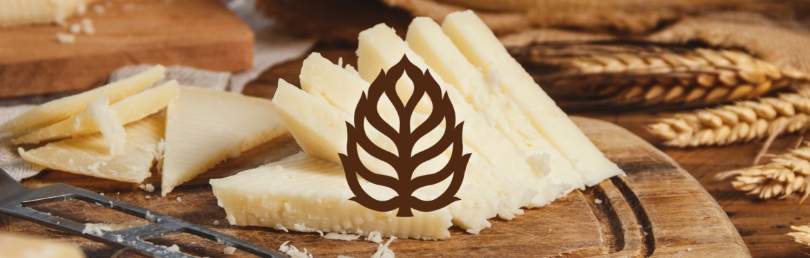 Beer and Cheese Pairing