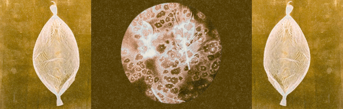 Cyanotype Workshop Part 2: Experimental Processes