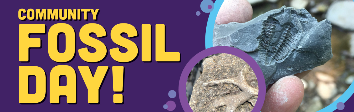 Community Fossil Day