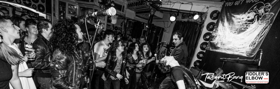 Stereo Cupid LIVE at The Fiddler's Elbow