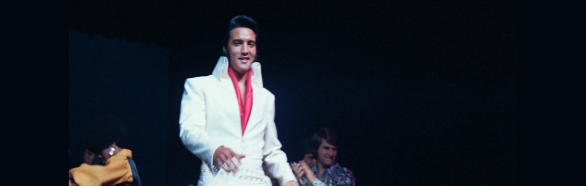 Elvis in concert
