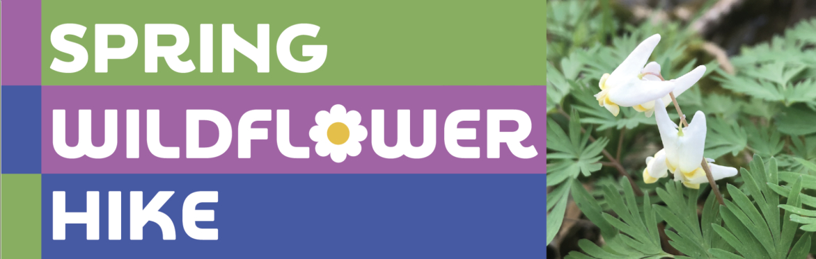 Community Wildflower Hike