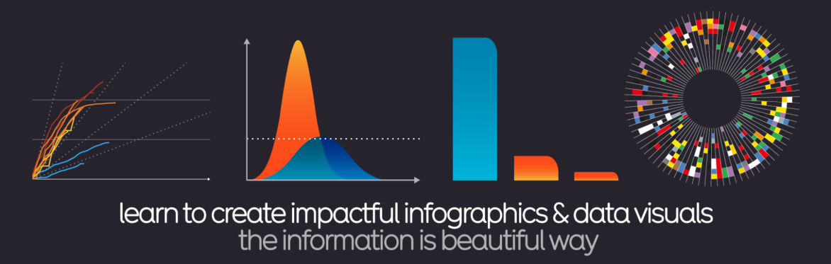 A series of elegant graphics and data visualisations display above an invitation to 'learn to create impactful infographics & data visuals' the information is beautiful way