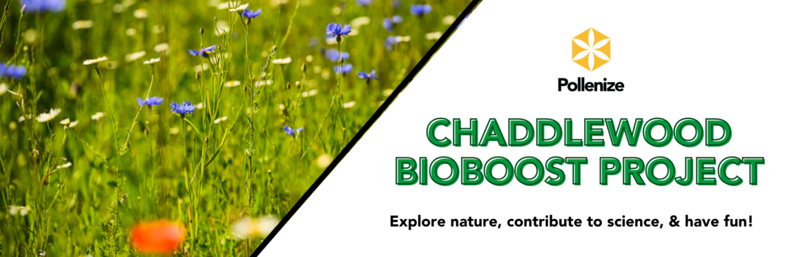 SUMMER HOLIDAY CHADDLEWOOD BIOBLITZ