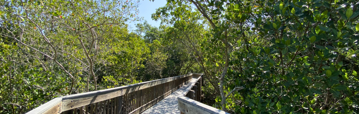 Naturalist Guided Tours in July