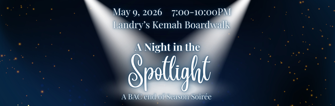 A Night in The Spotlight
