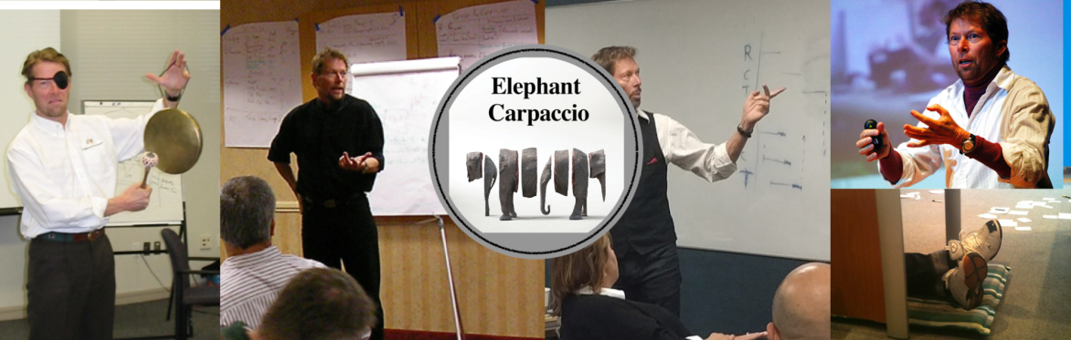 Alistair Cockburn, Elephant Carpaccio & Hexagonal Architecture
