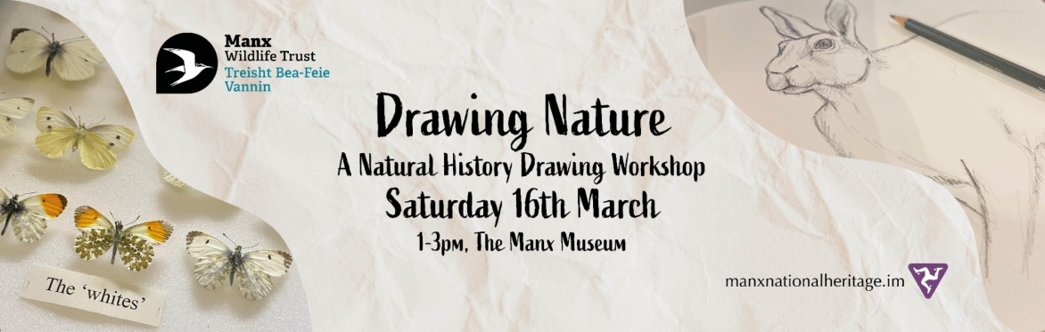 Drawing Nature: A Natural History Drawing Workshop