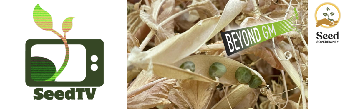 Seed TV - Precision breeding, patents and the future of seed: understanding the UK’s new genetic technology regime