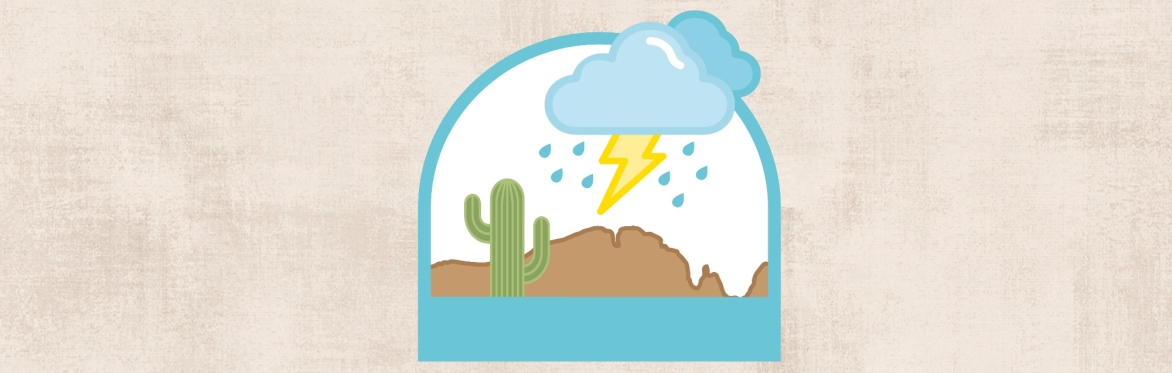 Monsoon Party
