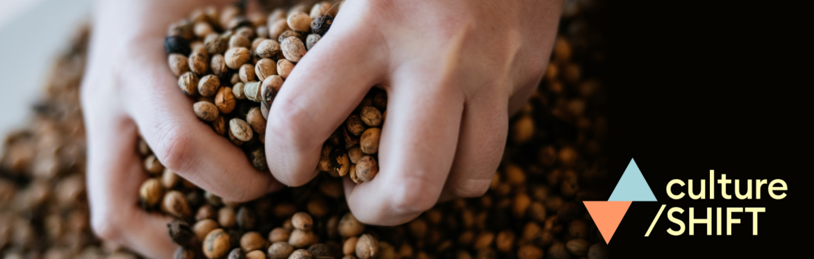 Two hands grasp handfuls of seedpods. The culture/SHIFT logo: a blue triangle orientated upwards balanced upon an orange triangle pointed downwards.
