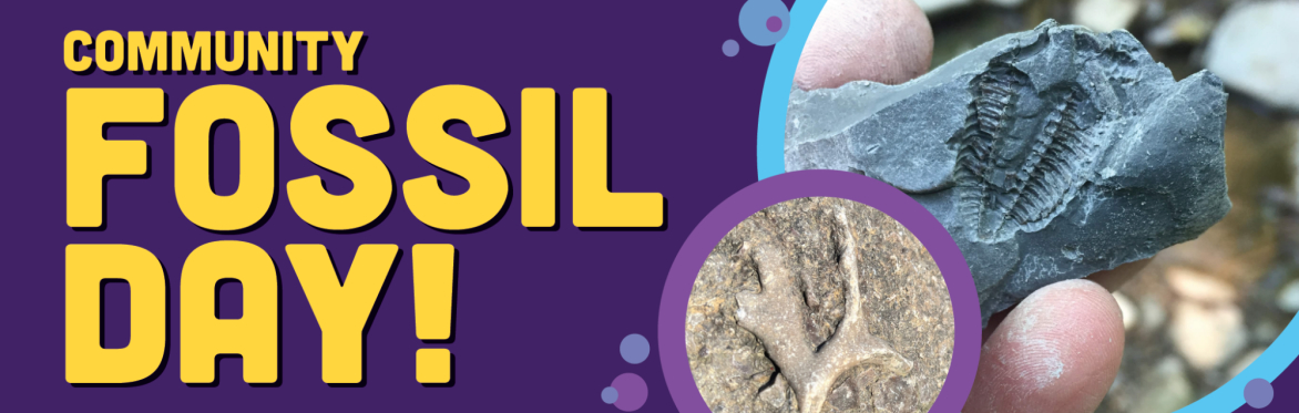 Community Fossil Day