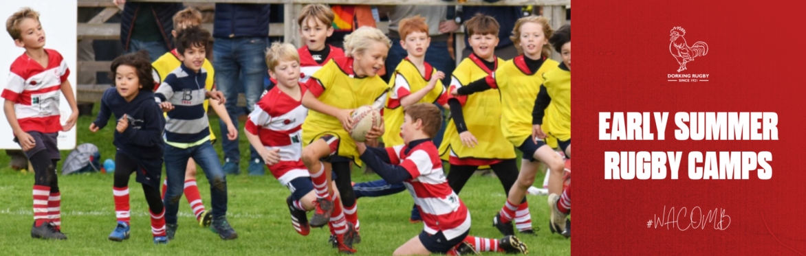 Dorking Early Summer Camp - July